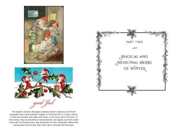 the Sacred Herbs of Yule and Christmas: Remedies, Recipes, Magic, Brews for Winter Season