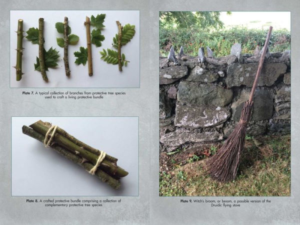 Living Wands of the Druids: Harvesting, Crafting, and Casting with Magical Tools