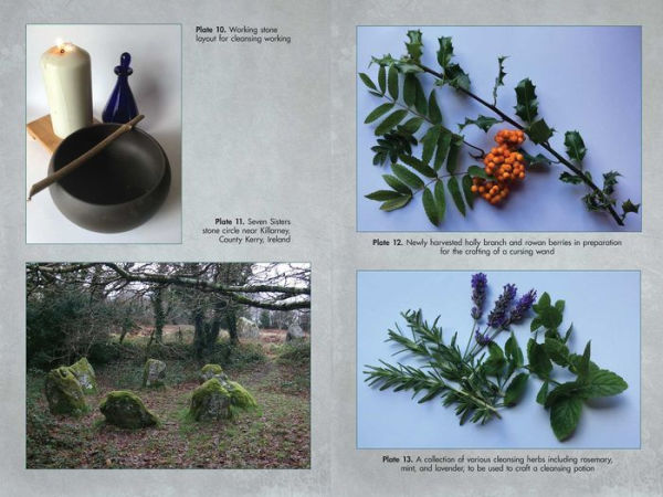 Living Wands of the Druids: Harvesting, Crafting, and Casting with Magical Tools