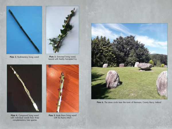 Living Wands of the Druids: Harvesting, Crafting, and Casting with Magical Tools