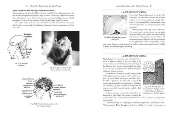 CranioSacral Therapy for Grief and Loss: Hands-On Techniques to Release Trauma Stored in the Body