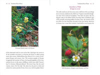 Alternative view 2 of The Heart and Its Healing Plants: Traditional Herbal Remedies and Modern Heart Conditions