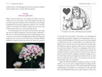 Alternative view 5 of The Heart and Its Healing Plants: Traditional Herbal Remedies and Modern Heart Conditions