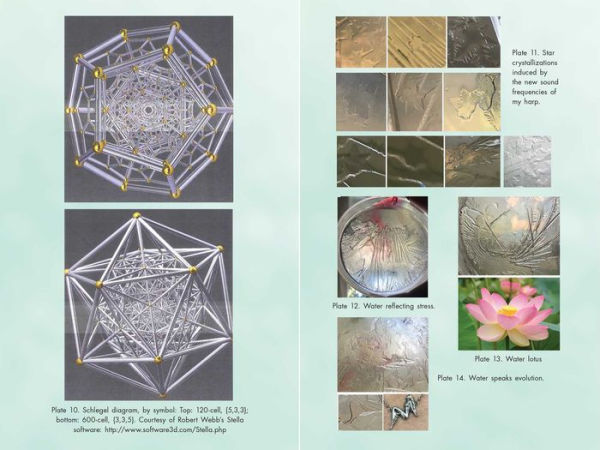 Activating Our 12-Stranded DNA: Secrets of Dodecahedral DNA for Completing Our Human Evolution