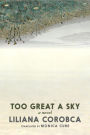 Too Great a Sky: A Novel