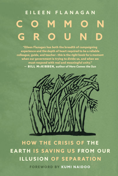 Common Ground: How the Crisis of the Earth is Saving Us from Our Illusion of Separation