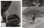 Alternative view 7 of Roy DeCarava: the sound i saw