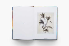 Alternative view 15 of Thomas Ruff: Transforming Photography