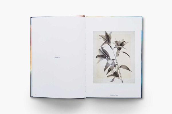 Thomas Ruff: Transforming Photography