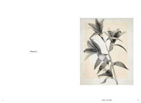Alternative view 5 of Thomas Ruff: Transforming Photography