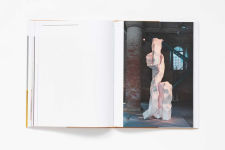 Alternative view 4 of Carol Bove: Collage Sculptures