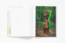 Alternative view 6 of Carol Bove: Collage Sculptures