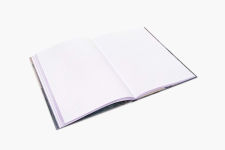 Alternative view 13 of Noah Davis: The Journal