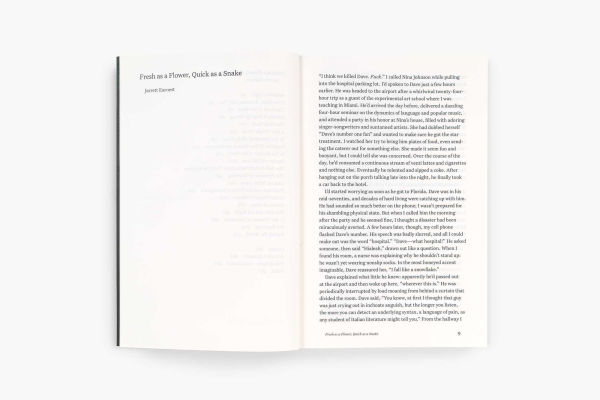 Feint of Heart: Art Writings: 1982-2002