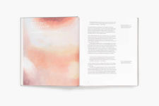 Alternative view 14 of Luc Tuymans: Nice