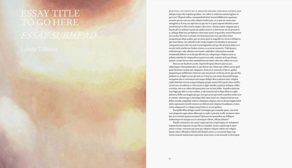 Luc Tuymans: Nice