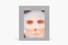 Alternative view 10 of Luc Tuymans: Nice