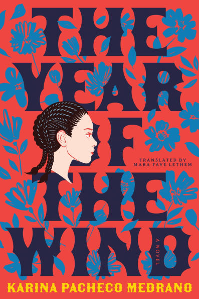the Year of Wind: A Novel