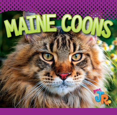 Maine Coons