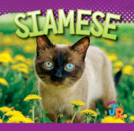 Title: Siamese, Author: Marysa Storm