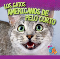 Title: Los Gatos Americanos de Pelo Corto, Author: Marysa Storm