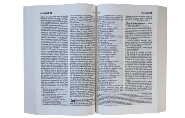 La Biblia Católica: Tapa blanda, tamaño grande, letra grande. Rústica, roja / Ca tholic Bible