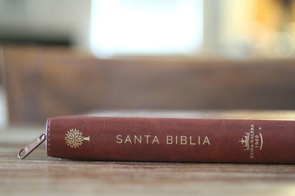 Biblia Reina Valera 1960 letra grande. Símil piel canela, cremallera, tamaño manual / Spanish Bible RVR 1960. Handy Size, Large Print, Leathersoft, Brown Zip