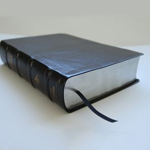 RVR 1960 Biblia de estudio Dake, tamaño grande, piel negra / Spanish RVR 1960 Dake Study Bible, Large Size, Black Leather