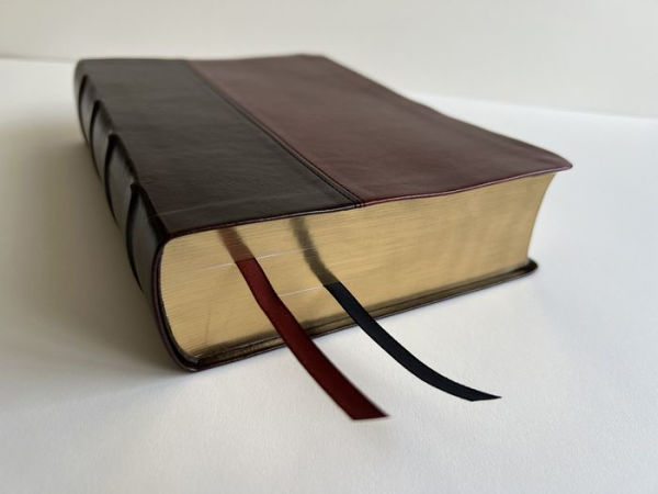 RVR 1960 Biblia de estudio Dake, tamaño grande, piel duotono marrón / Spanish RV R 1960 Dake Study Bible, Large Size, Duotone Brown Leather