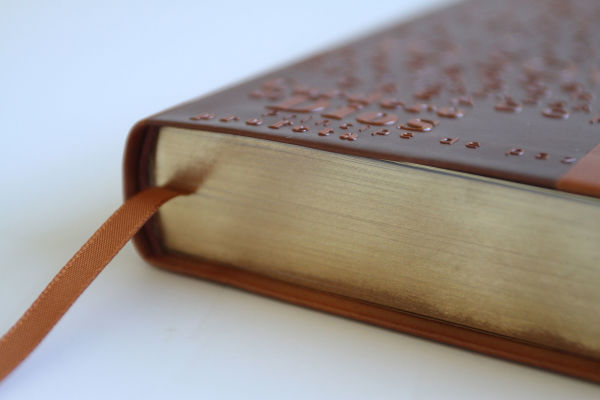 Biblia RVR60 letra grande tamaño manual, simil piel canela con nombres de Dios / Spanish Bible RVR60 Handy Size Large Print Leather soft Brown with Names of Go