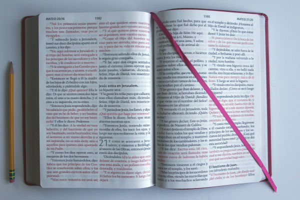 Biblia Reina Valera letra súper gigante, símil piel fucsia / Spanish Bible Reina Valera Super Giant Print, Fuchsia Leathersoft