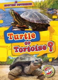 Title: Turtle or Tortoise?, Author: Kirsten Chang