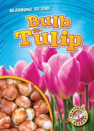 Title: Bulb to Tulip, Author: Rachel Grack