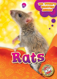 Title: Rats, Author: Joanne Mattern