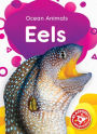 Eels