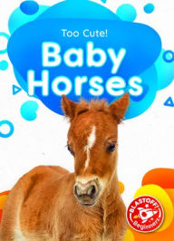 Title: Baby Horses, Author: Betsy Rathburn