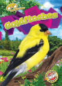 Goldfinches