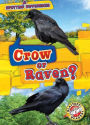Crow or Raven?