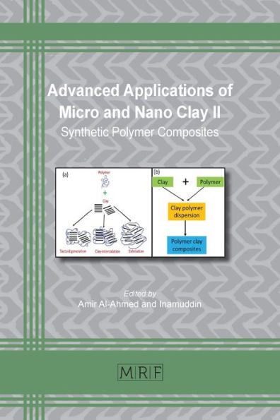 Advanced Applications of Micro and Nano Clay II: Synthetic Polymer Composites