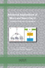 Advanced Applications of Micro and Nano Clay II: Synthetic Polymer Composites