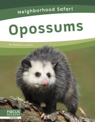 Title: Opossums, Author: Martha London