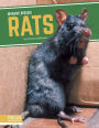 Rats