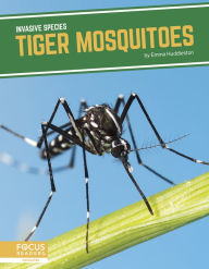 Title: Tiger Mosquitoes, Author: Emma Huddleston