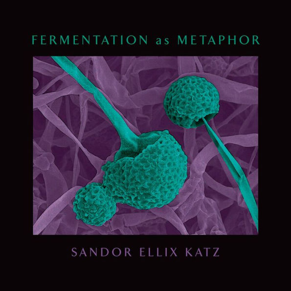 Fermentation as Metaphor: From the Author of the Bestselling 