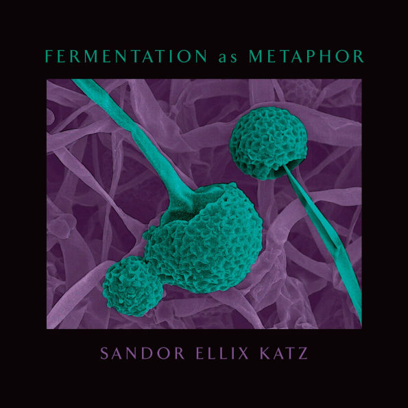 Fermentation as Metaphor: From the Author of the Bestselling The Art of Fermentation