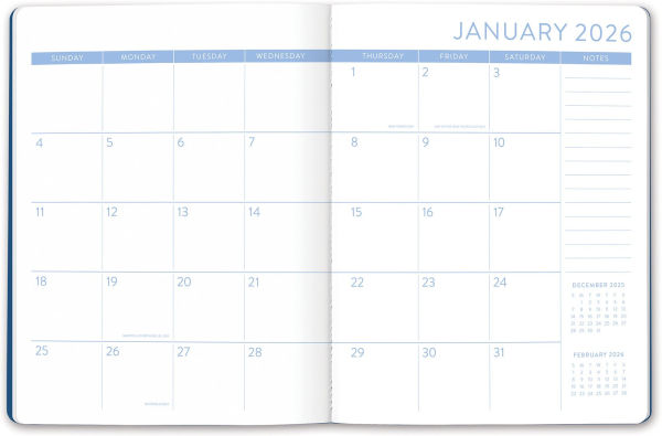 2025-2026 Colorful Bookshelf Just Right Monthly Planner 17m Exclusive