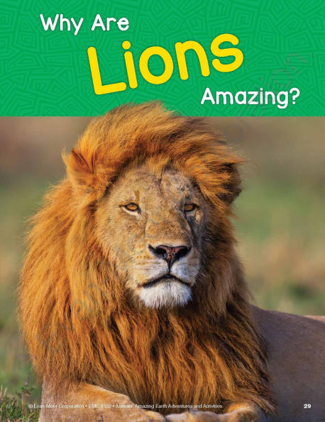 Animals: Amazing Earth Adventures and Activities, Age 6 - 7 Workbook