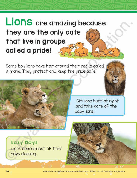 Animals: Amazing Earth Adventures and Activities, Age 6 - 7 Workbook