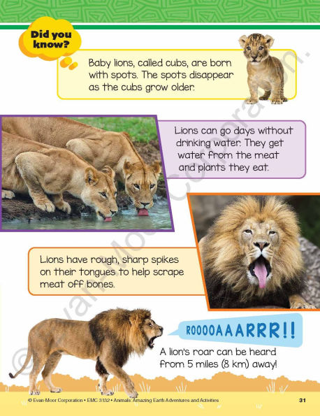 Animals: Amazing Earth Adventures and Activities, Age 6 - 7 Workbook