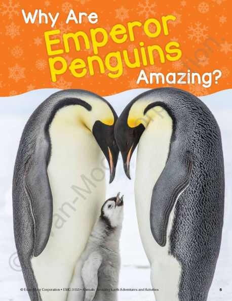 Animals: Amazing Earth Adventures and Activities, Ages 8-9 Workbook